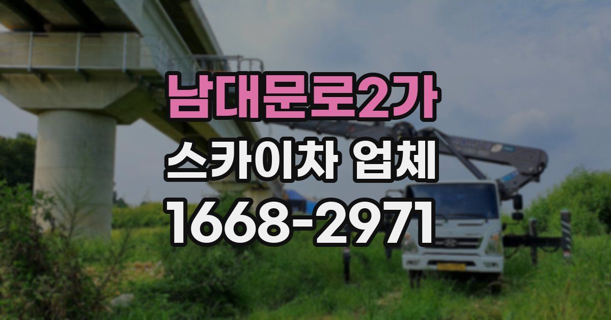 남대문로2가 스카이차 업체