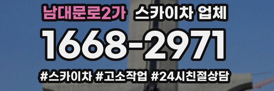남대문로2가 스카이차 업체
