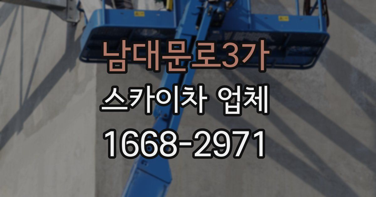 남대문로3가 스카이차 업체
