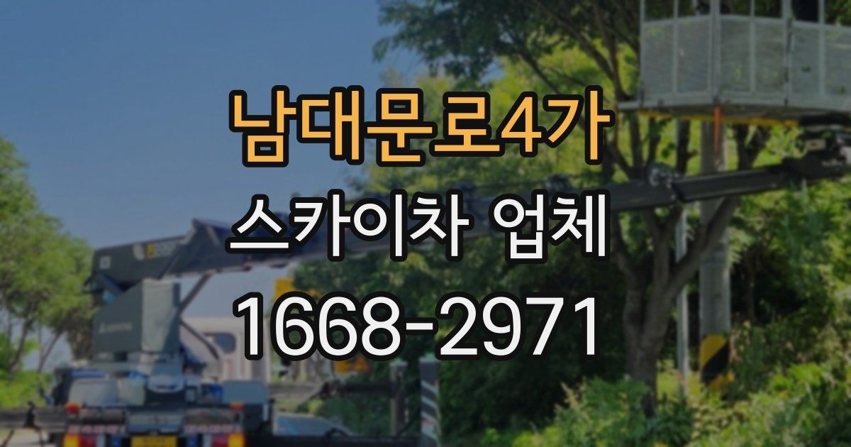 남대문로4가 스카이차 업체