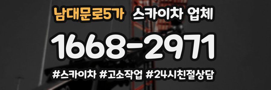 남대문로5가 스카이차 업체