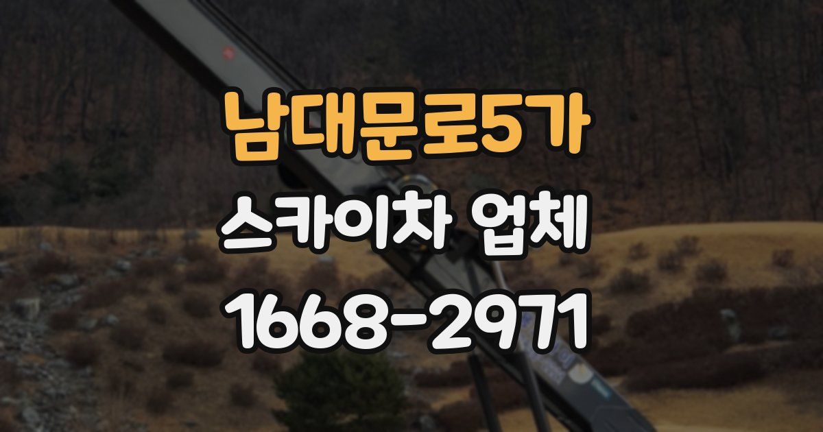 남대문로5가 스카이차 업체