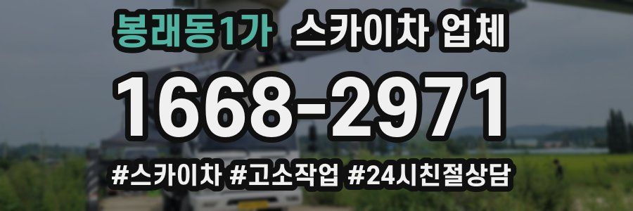 봉래동1가 스카이차 업체