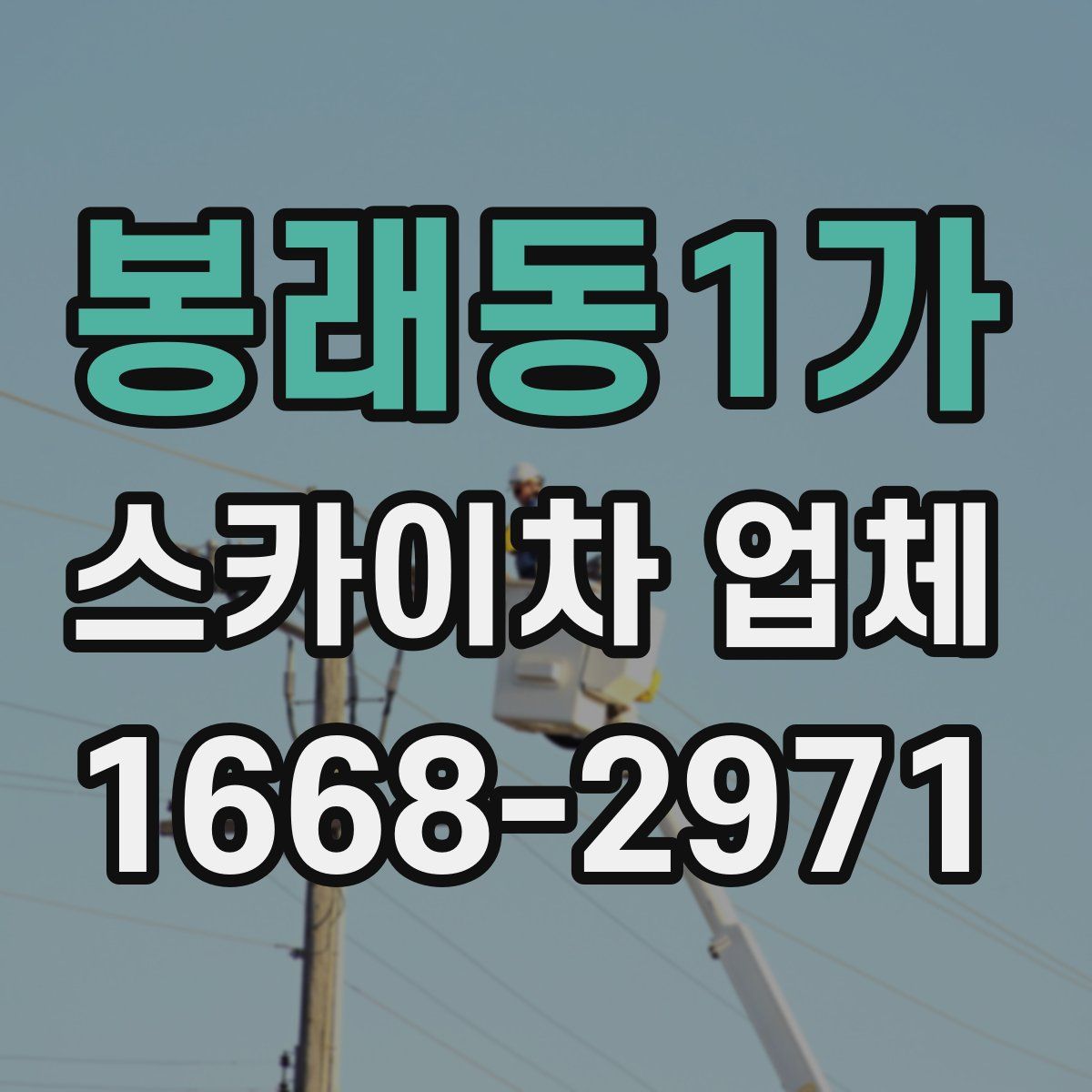 봉래동1가 스카이차 업체