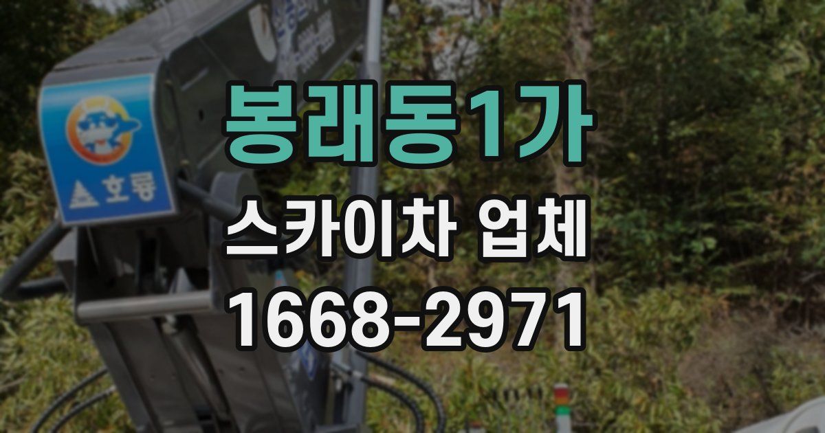 봉래동1가 스카이차 업체