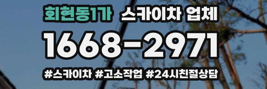 회현동1가 스카이차 업체