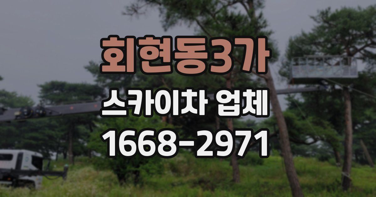 회현동3가 스카이차 업체