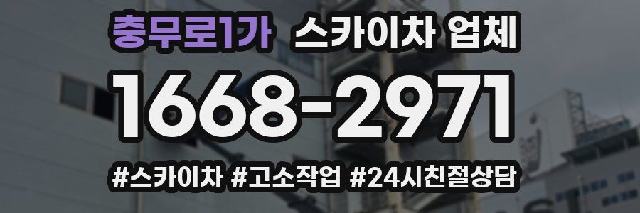충무로1가 스카이차 업체