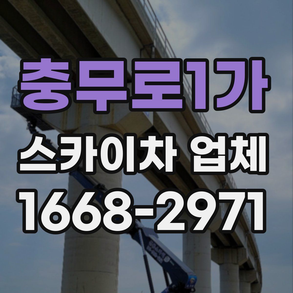 충무로1가 스카이차 업체