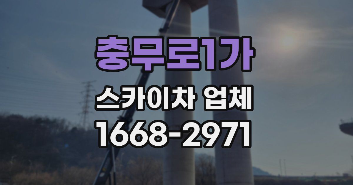 충무로1가 스카이차 업체