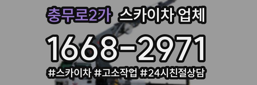 충무로2가 스카이차 업체