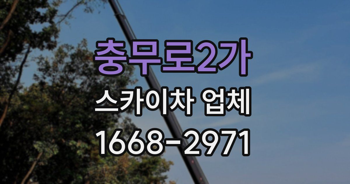 충무로2가 스카이차 업체