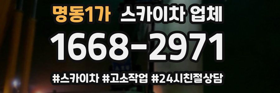명동1가 스카이차 업체