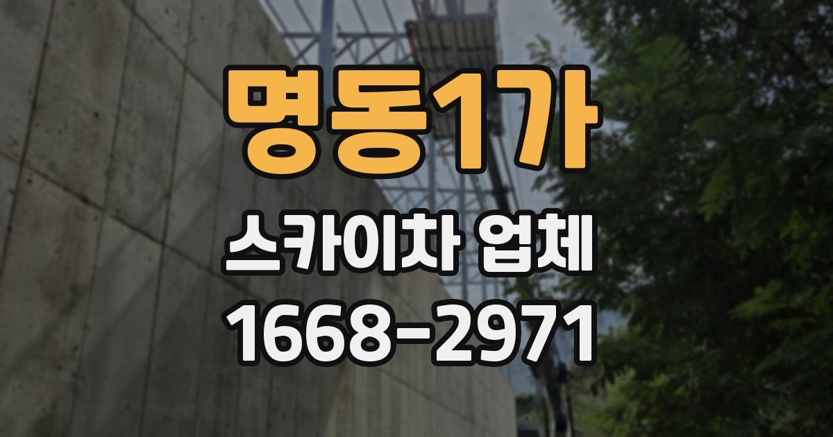 명동1가 스카이차 업체