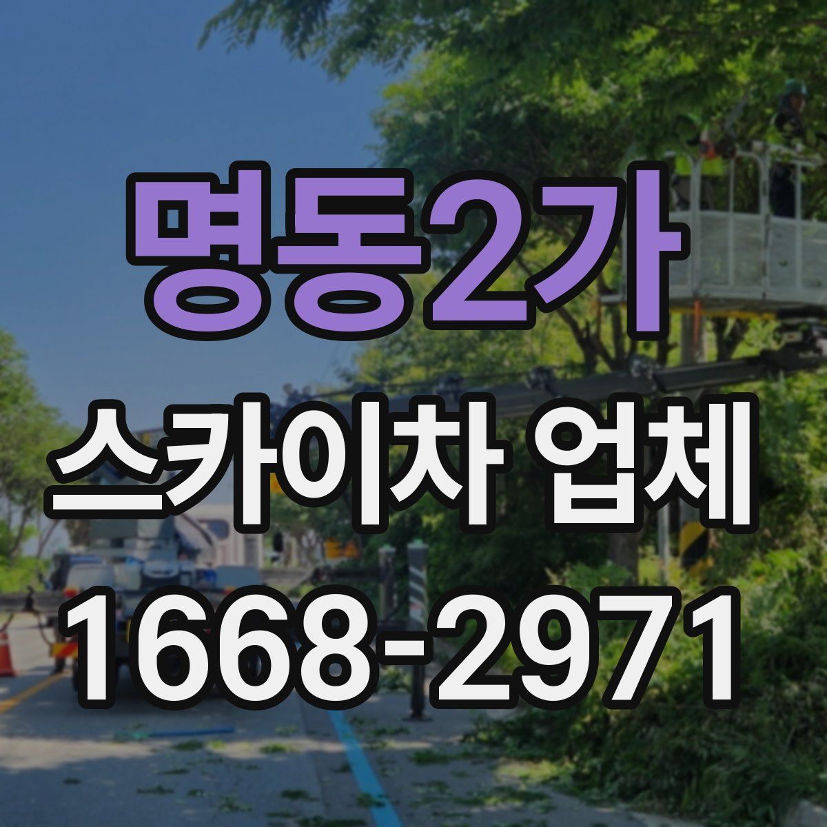 명동2가 스카이차 업체