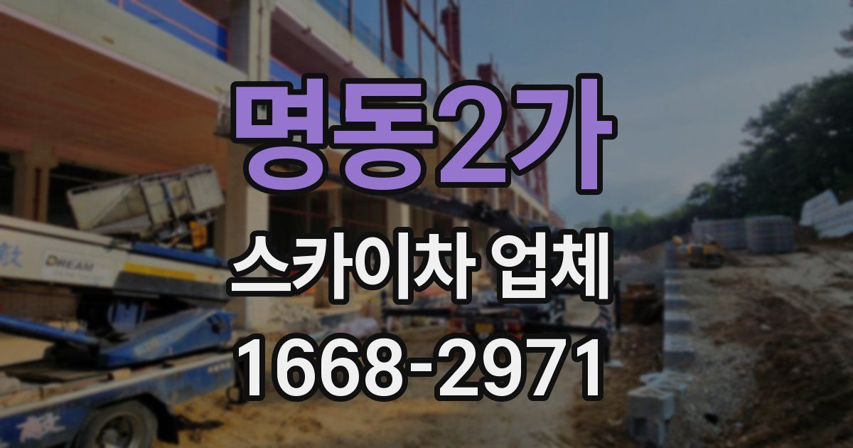 명동2가 스카이차 업체