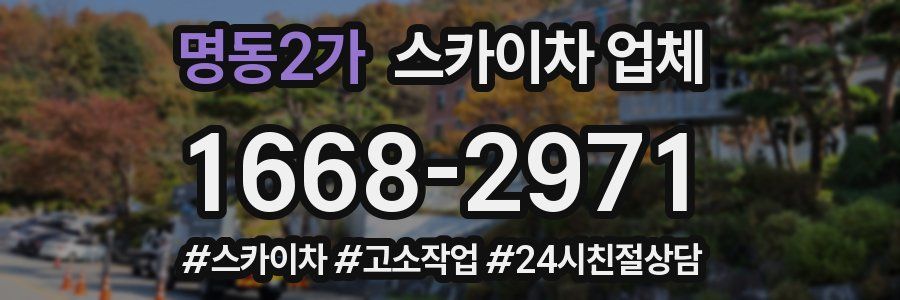 명동2가 스카이차 업체