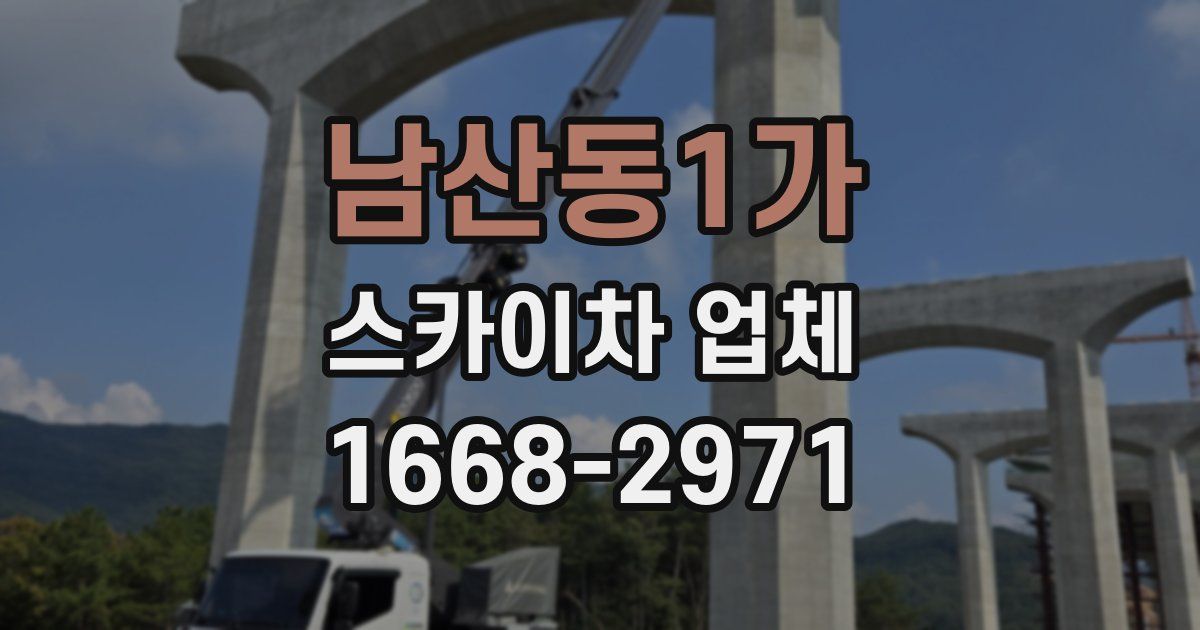 남산동1가 스카이차 업체