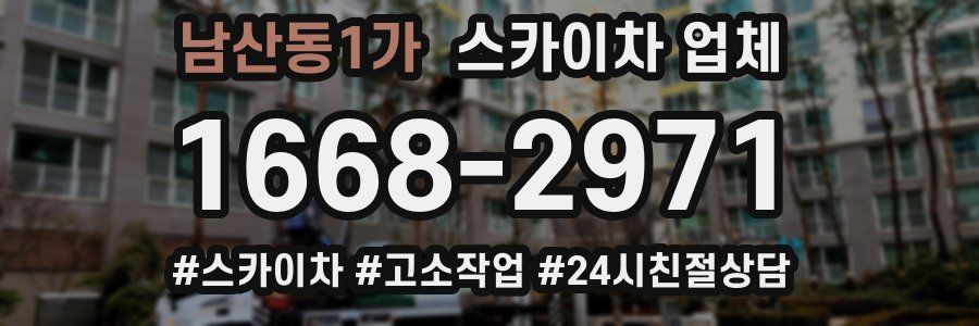 남산동1가 스카이차 업체