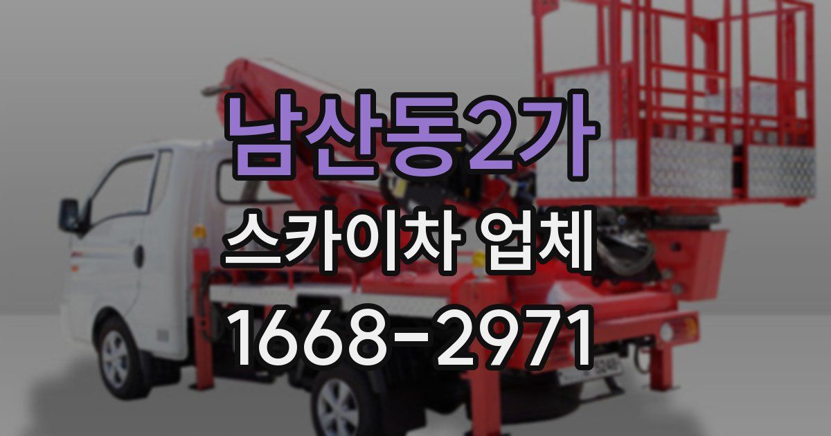 남산동2가 스카이차 업체
