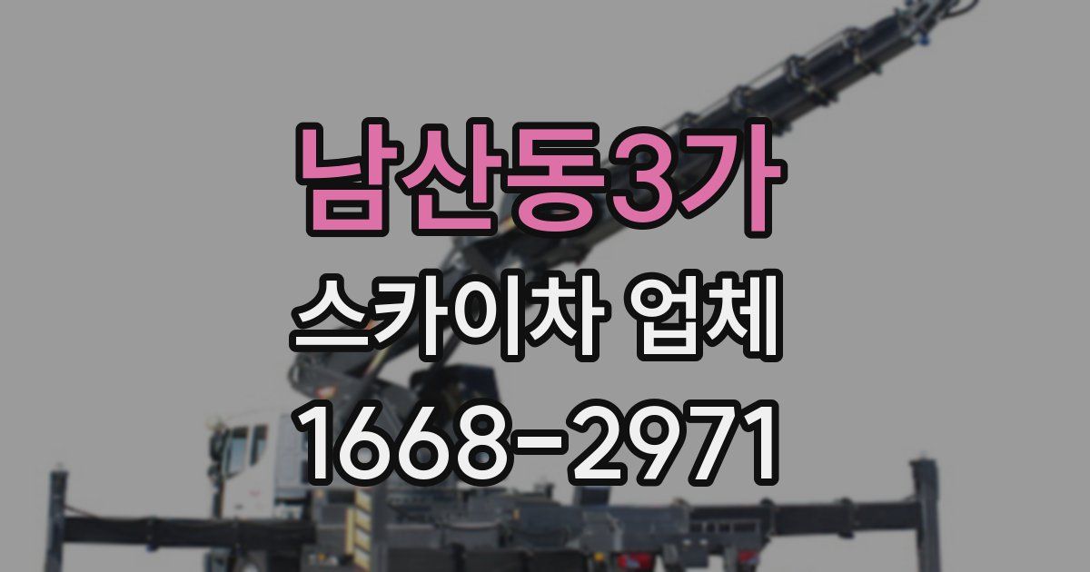 남산동3가 스카이차 업체