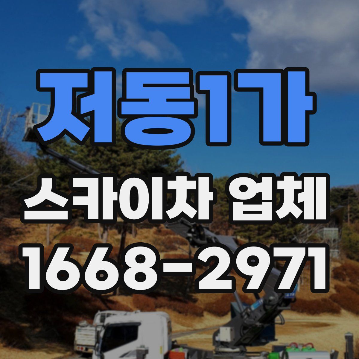 저동1가 스카이차 업체