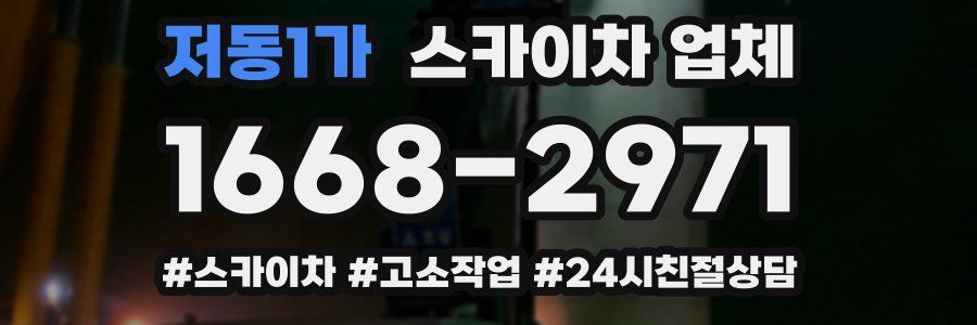 저동1가 스카이차 업체