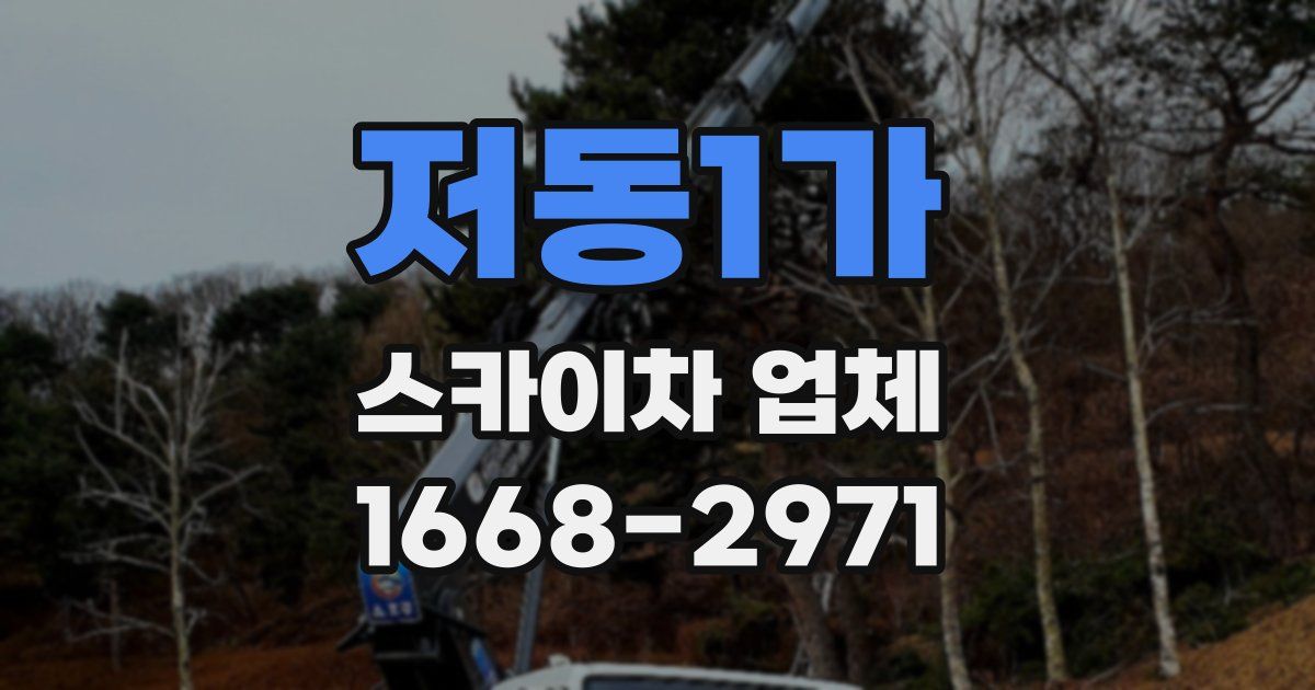 저동1가 스카이차 업체