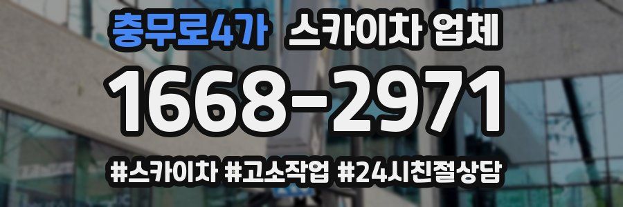 충무로4가 스카이차 업체