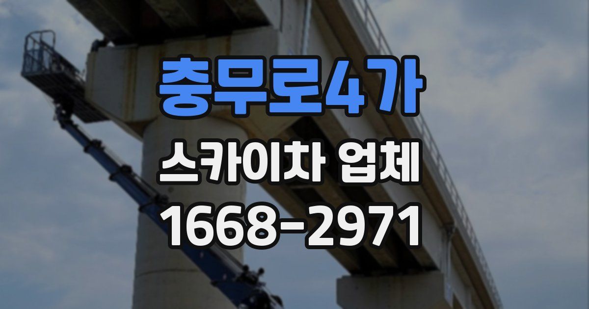 충무로4가 스카이차 업체
