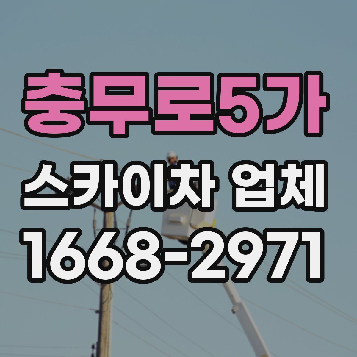 충무로5가 스카이차 업체