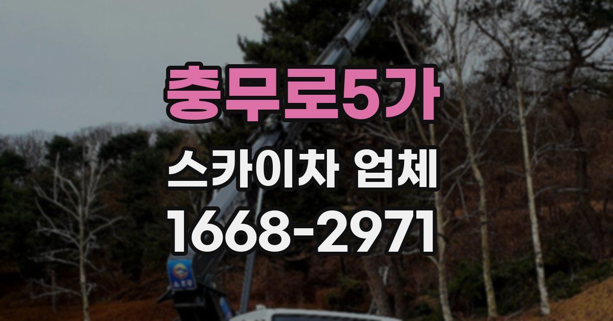 충무로5가 스카이차 업체