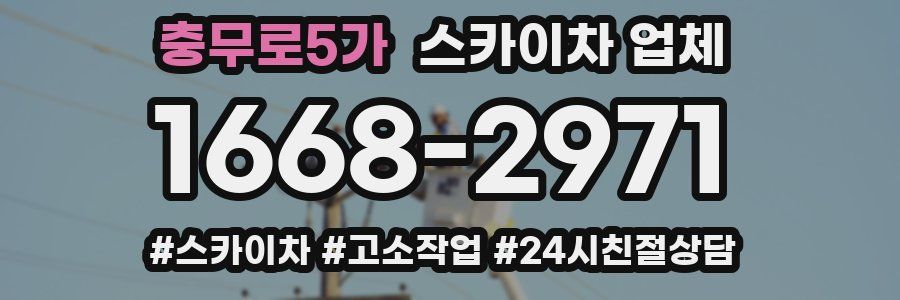 충무로5가 스카이차 업체