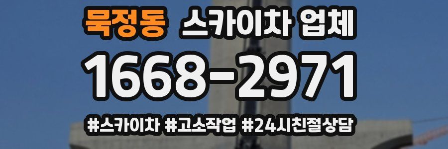 묵정동 스카이차 업체