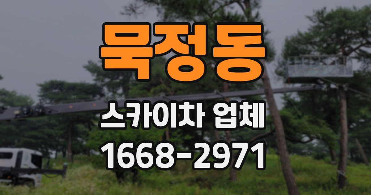묵정동 스카이차 업체