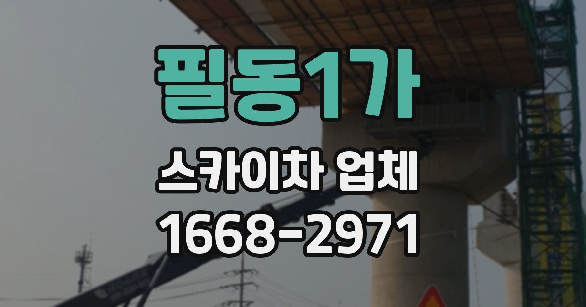 필동1가 스카이차 업체