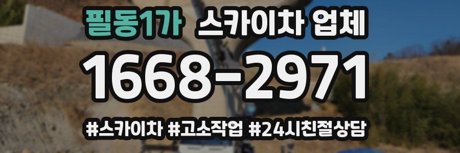 필동1가 스카이차 업체