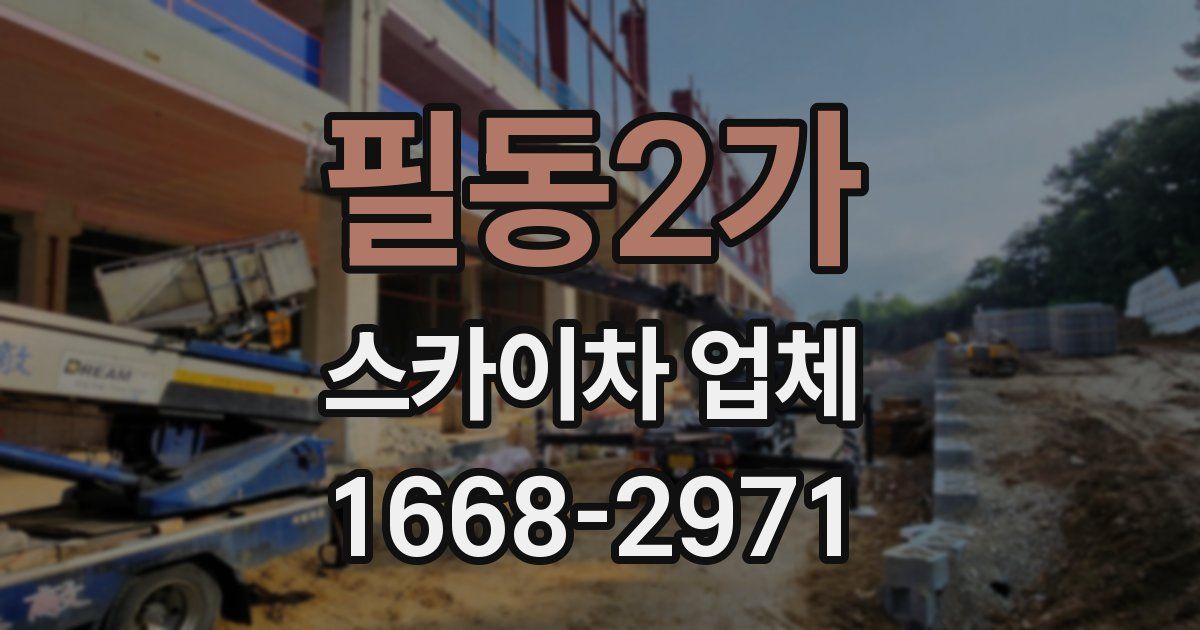 필동2가 스카이차 업체
