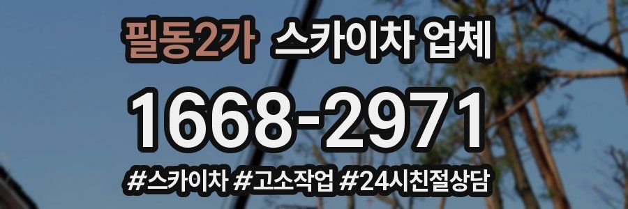 필동2가 스카이차 업체