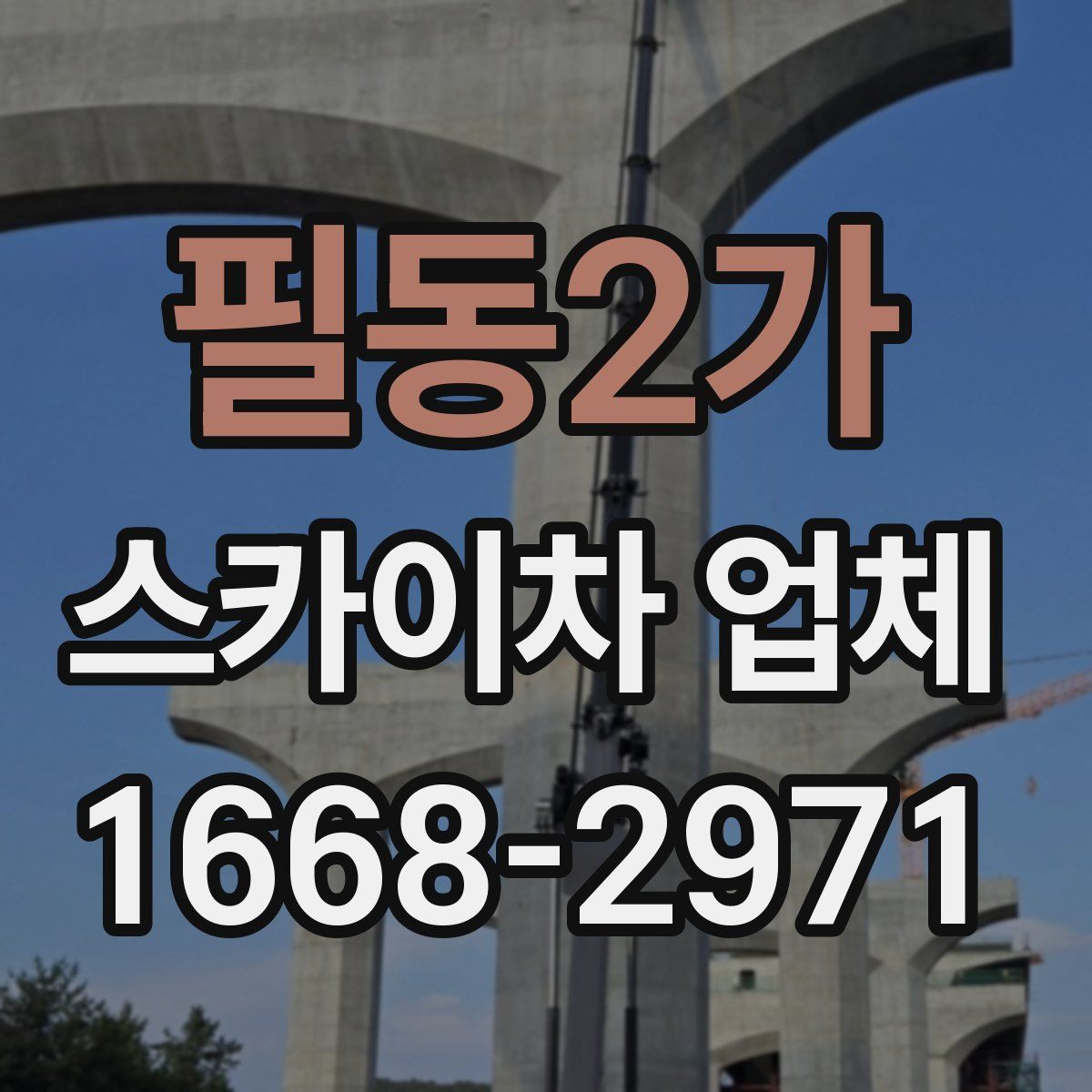 필동2가 스카이차 업체