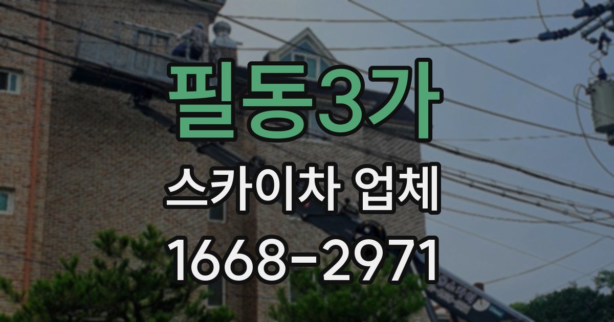 필동3가 스카이차 업체