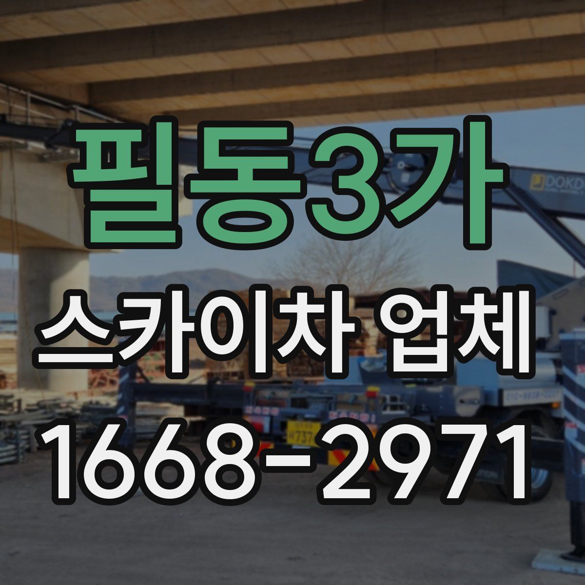 필동3가 스카이차 업체
