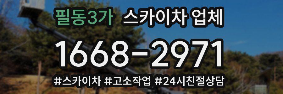 필동3가 스카이차 업체