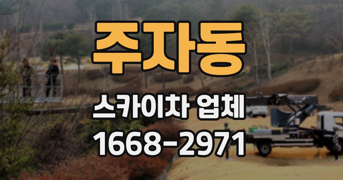 주자동 스카이차 업체