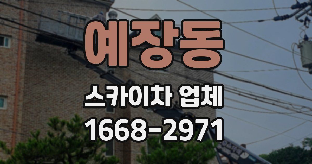 예장동 스카이차 업체