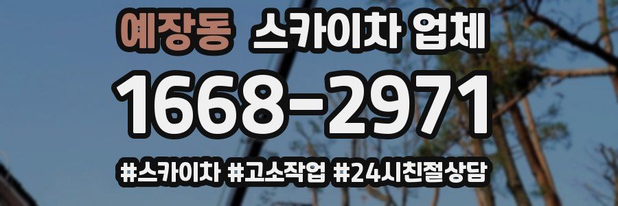 예장동 스카이차 업체