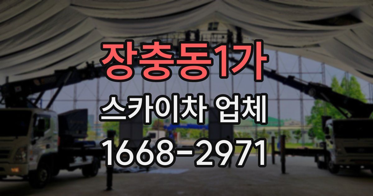 장충동1가 스카이차 업체