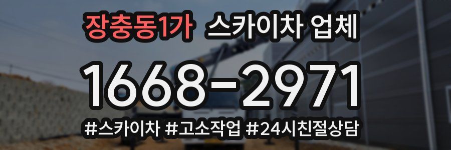 장충동1가 스카이차 업체