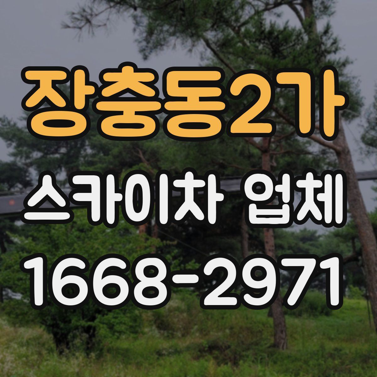장충동2가 스카이차 업체