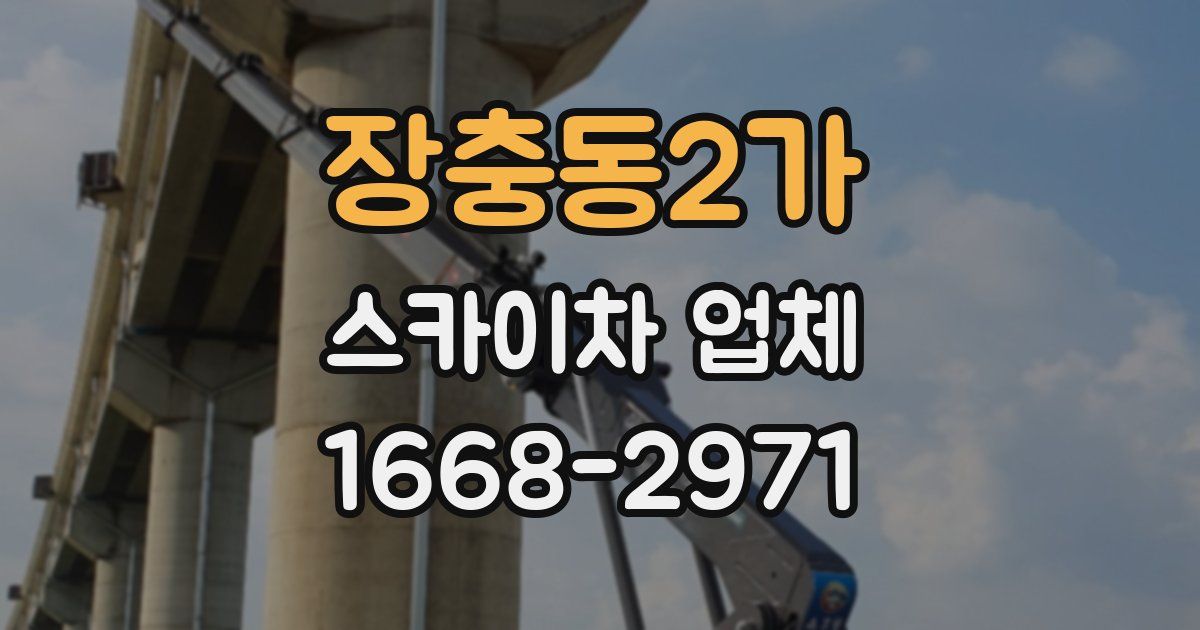 장충동2가 스카이차 업체